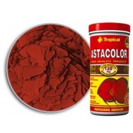 AstaColor Discus (600 ml)
