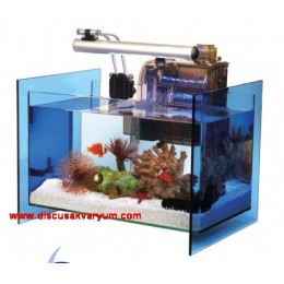 Ocean Cube Aquarium