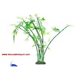 Bambu Ağacı (60 cm)