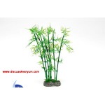 Bambu Ağacı (45 cm)