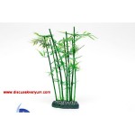 Bambu Ağacı (30 cm)