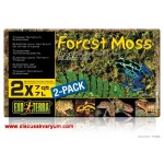 Forest Moss (500 gr)