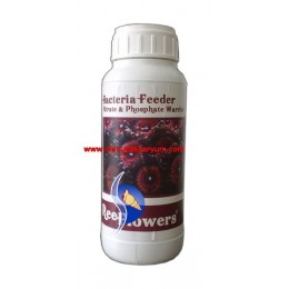 Bacteria Feeder (Nitrate - Phospate Warrior - 500 ml)