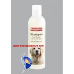 Repair Coats Shampoo (250 ml - Deri Onarım Şampuanı)