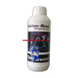 Calcium Blend (BallingSet Element 2 - 1000 ml)