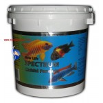 Spectrum Cichlid Formula (2270 gr - Kova)