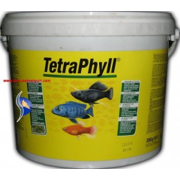 Phyll (10 Lt - 2 kg)